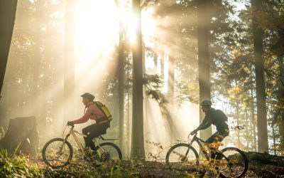 Mountainbiken in de Kempen: Dé Ultieme Outdoor Beleving